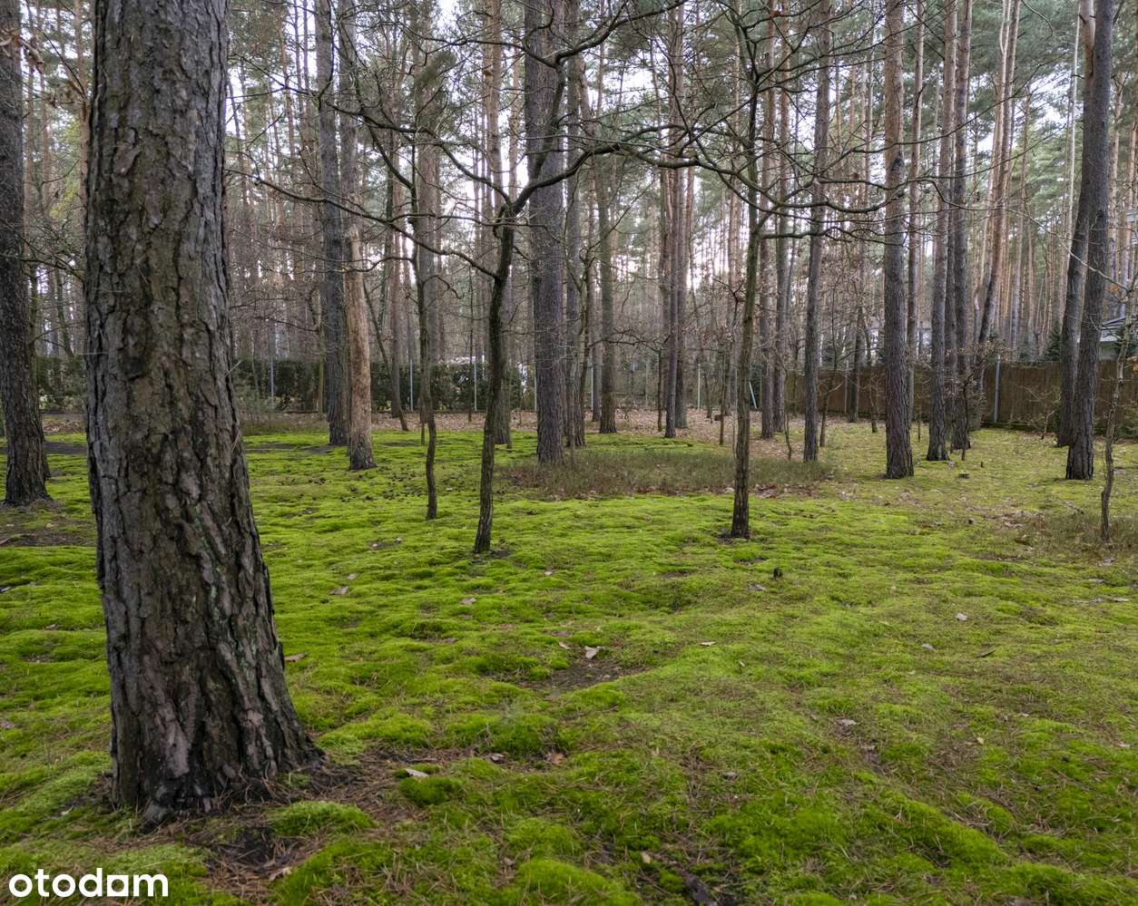 Willa o niepowtarzalnym charakterze w kameralnej Jazgarzewszczyźnie-16