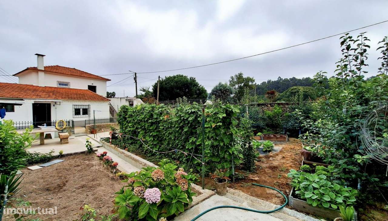 Venda de Moradia V3 com quintal e excelente espaço exterior em Tougue-18