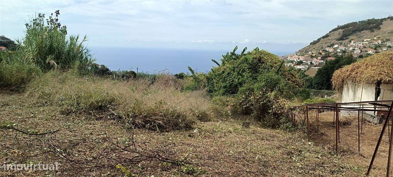Terreno Urbano  Venda em Campanário,Ribeira Brava-6