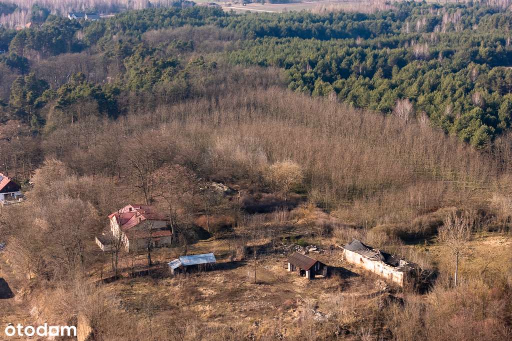 Działka budowlana 4 742 m2 Zakościele nad Pilicą - Pełny obrazek: 4/11