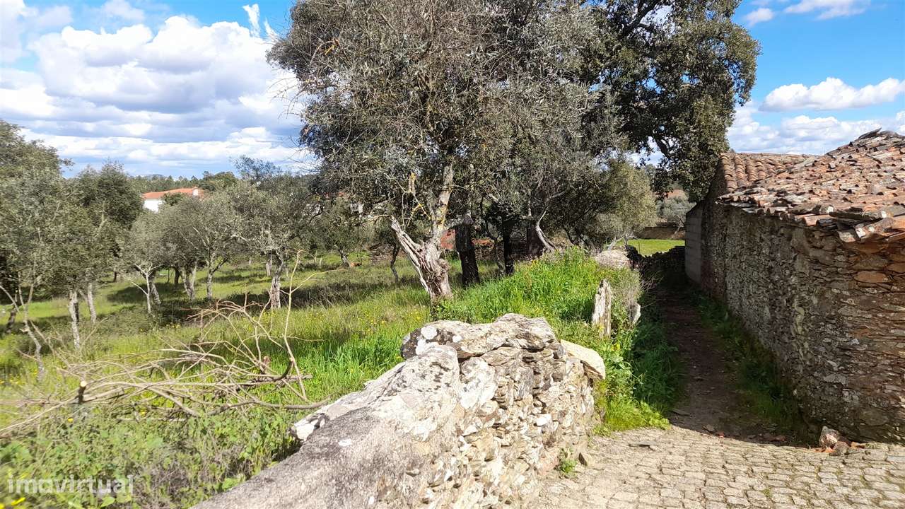 Terreno Para Construção  Venda em Benquerenças,Castelo Branco - Grande imagem: 4/19