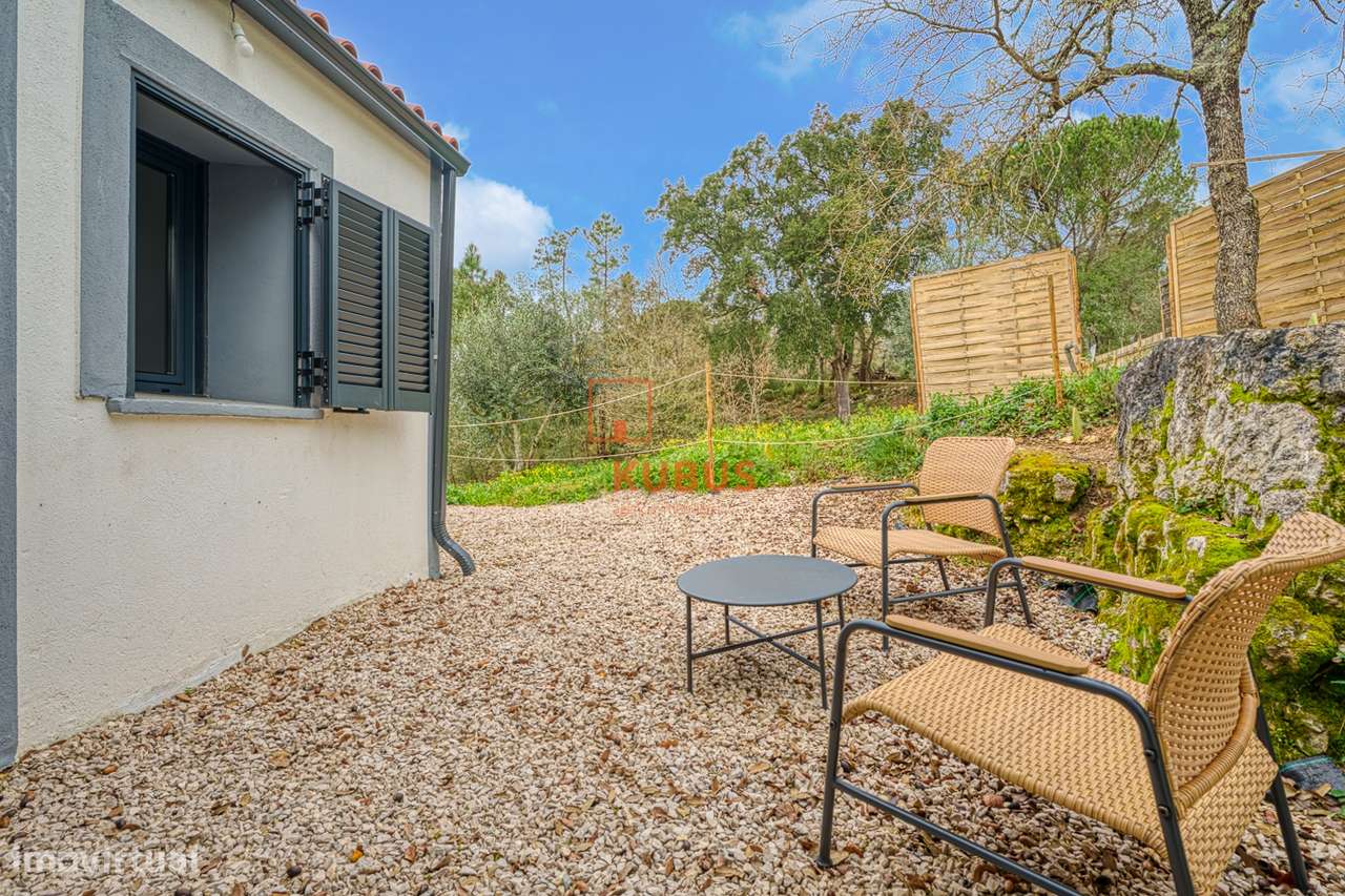 Quinta - Olival, Ourém-17