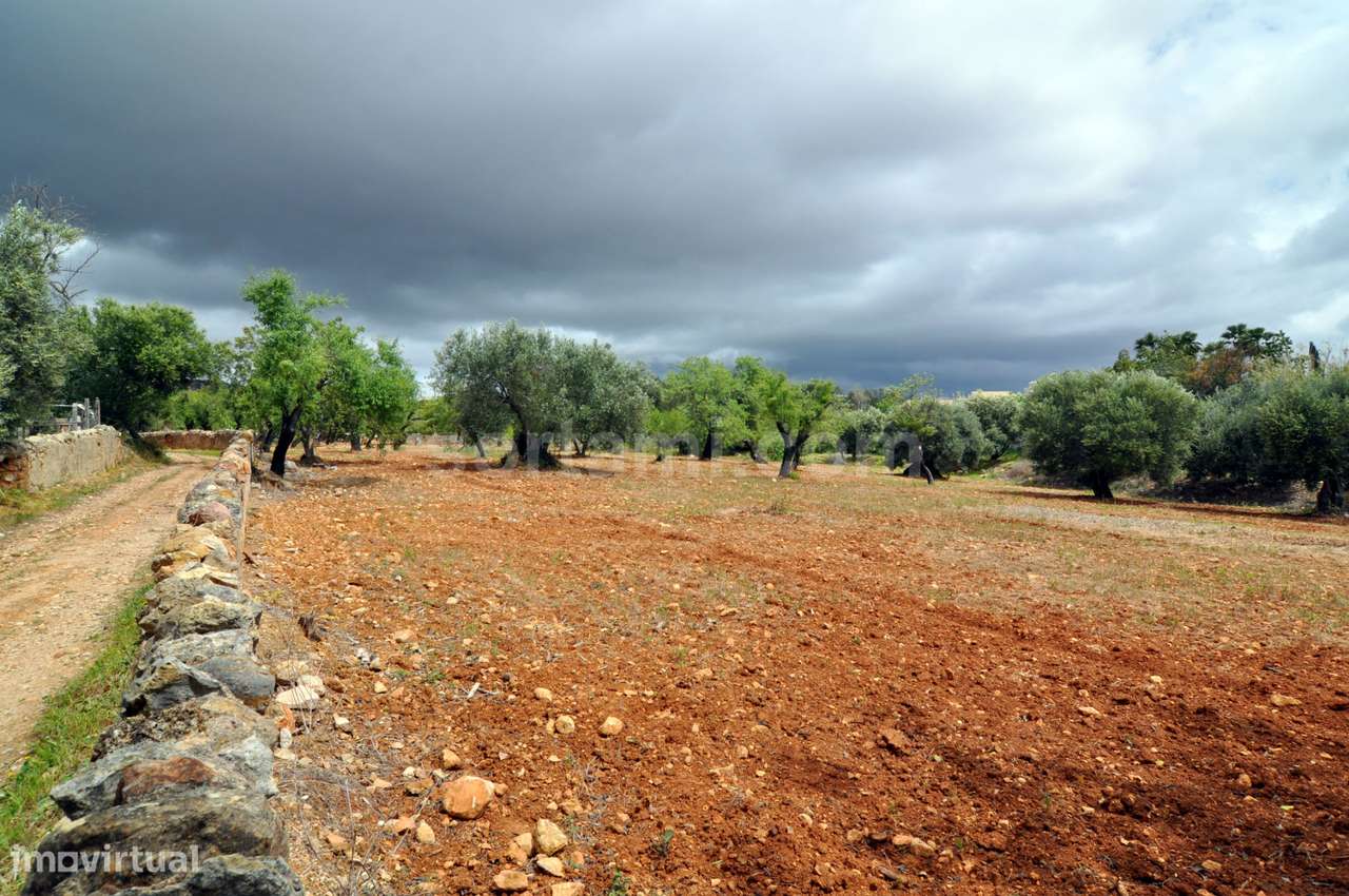 Terreno Para Construção  Venda em Conceição e Estoi,Faro - Grande imagem: 3/3