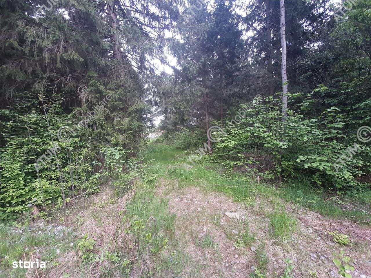 Teren intravilan de vanzare in Avrig zona Valea Avrigului - Imagine principală: 2/3