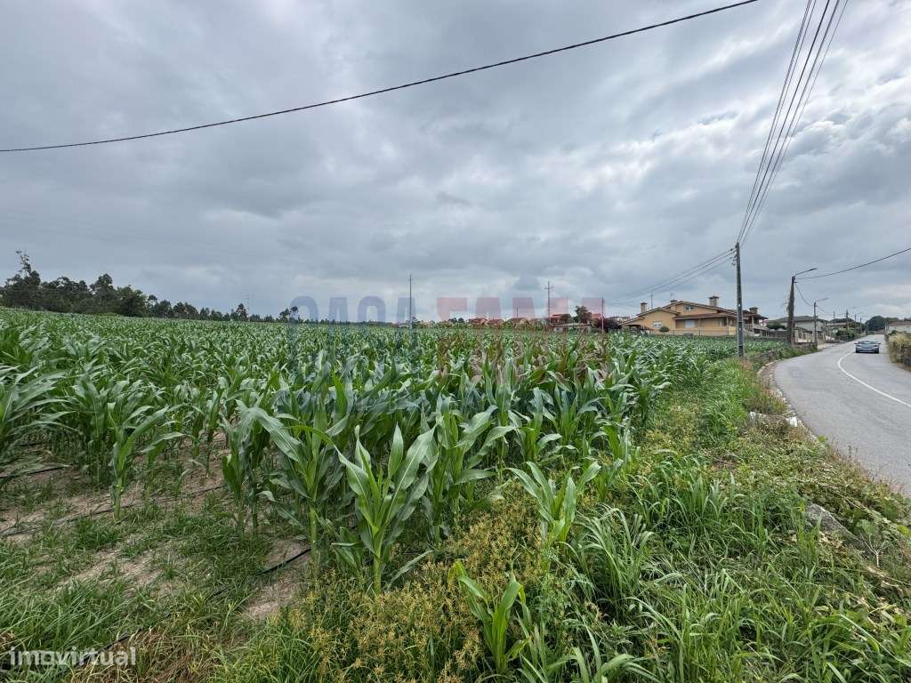 Terreno de Construção com 9.680 m² - Parada, Vila do Conde - Grande imagem: 4/23