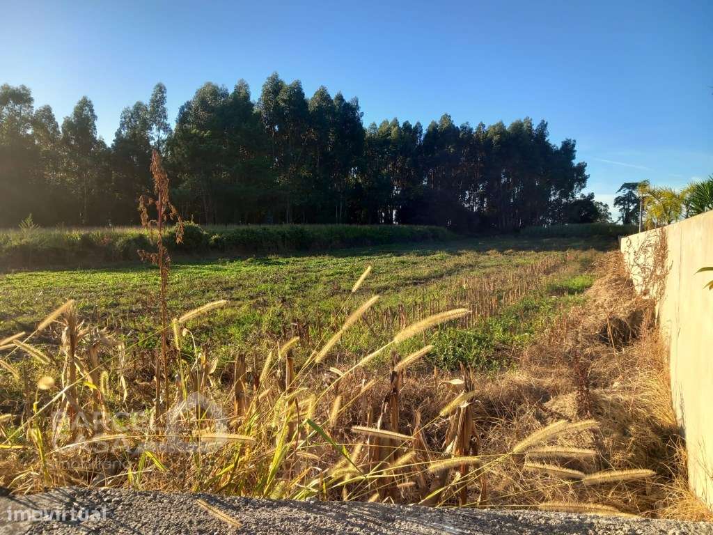 Terreno de construção nas Marinhas - Esposende - Grande imagem: 4/5