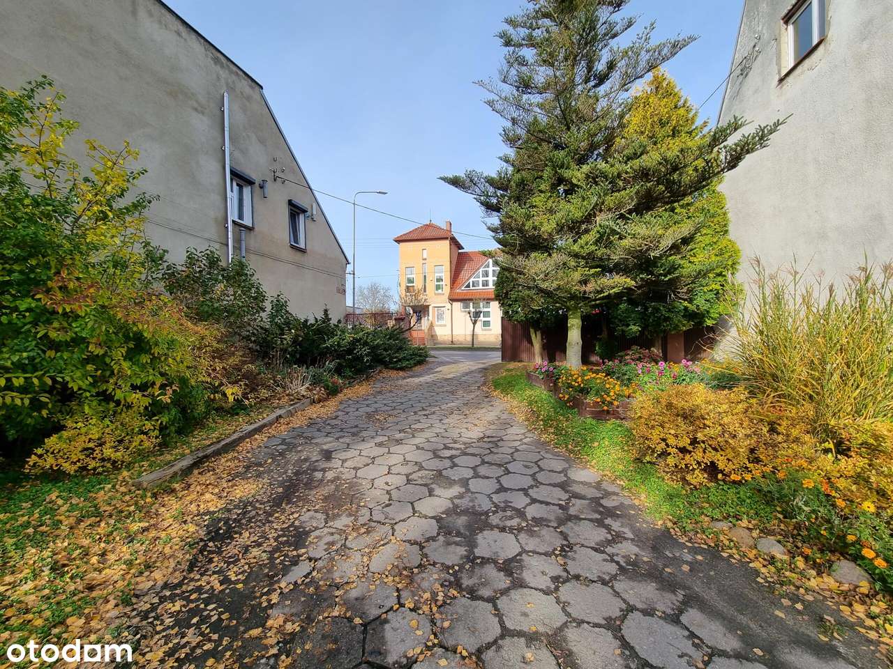 Na sprzedaż niezabudowana działka w centrum Margonina-5