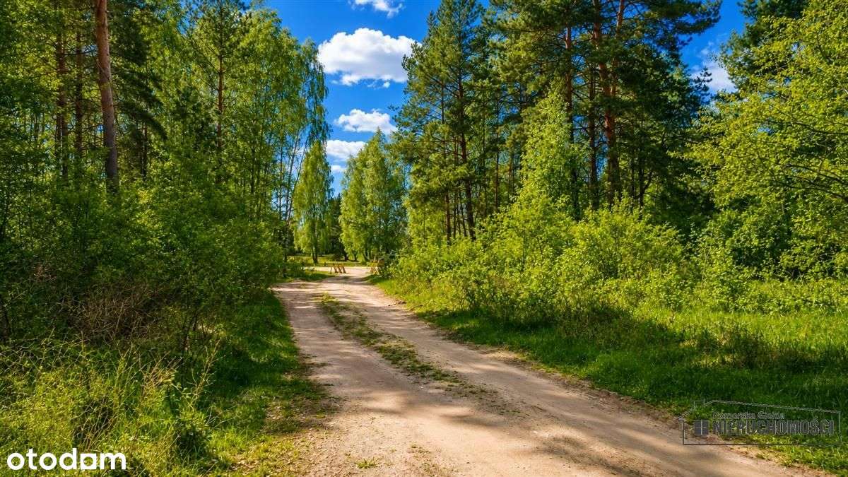 Cisza, las i jezioro – działka budowlana-10