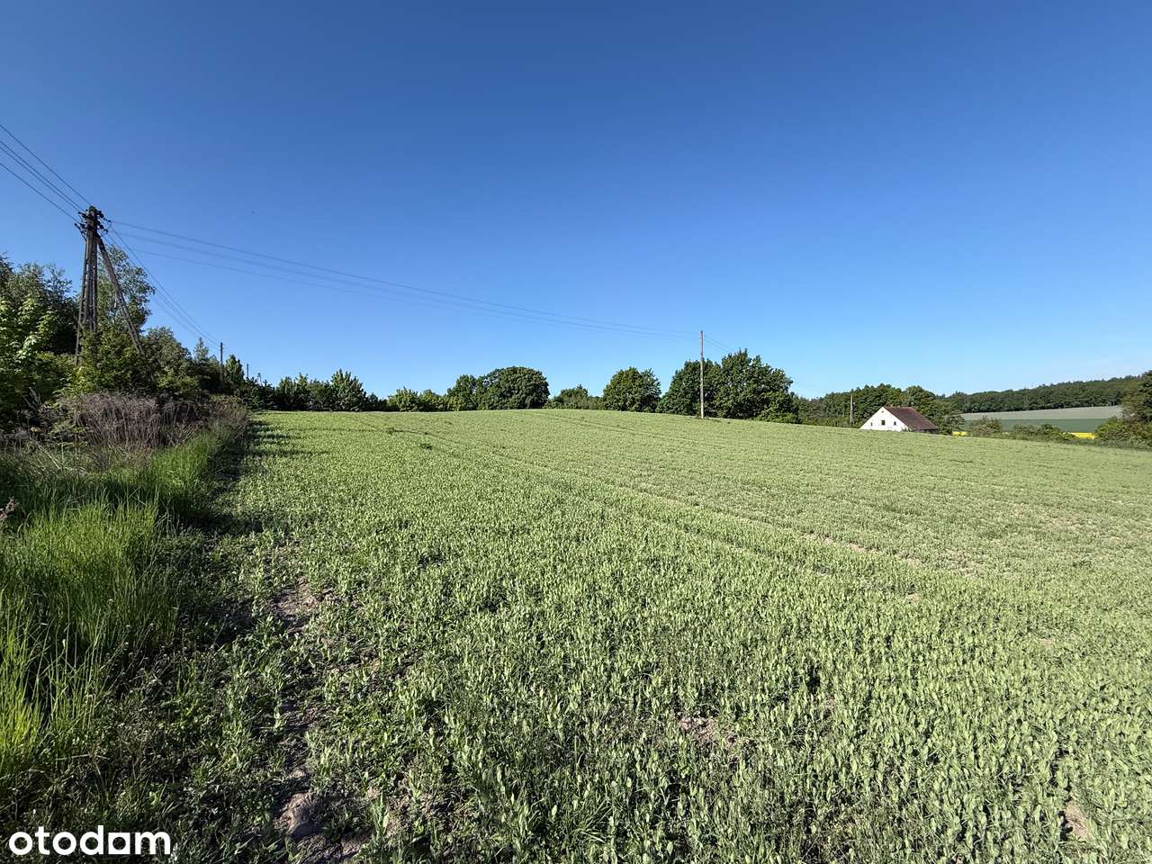 Działka w zaciszu i zieleni - Pełny obrazek: 4/8