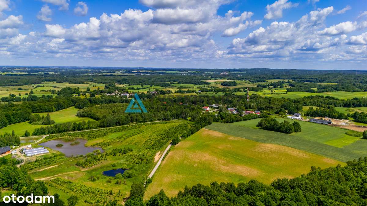 Działka z warunkami zabudowy - Pełny obrazek: 4/16