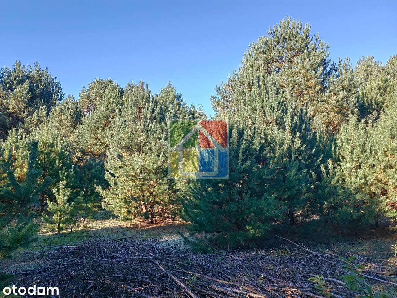 Działka pod zabudowę w otulinie Parku Krajobrazowego - Pełny obrazek: 4/7