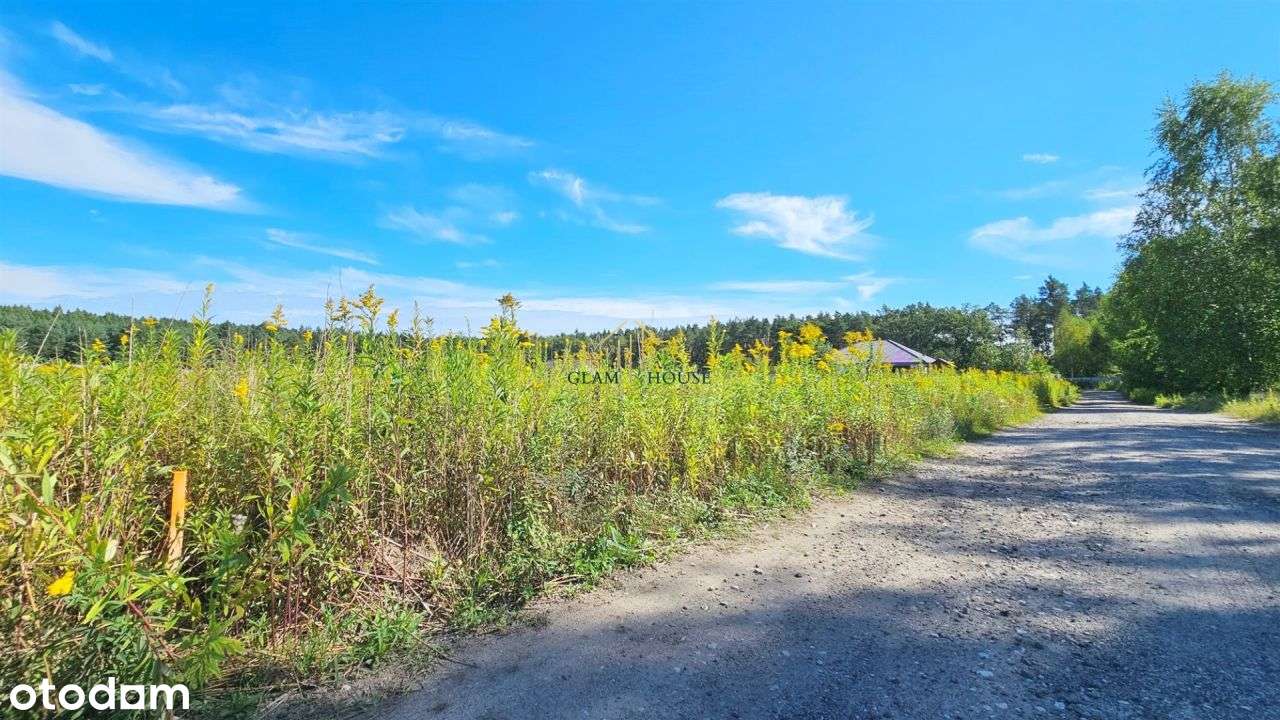 Blisko Lasu Piękna Działka W Wałdowie Królewskim - Pełny obrazek: 5/6
