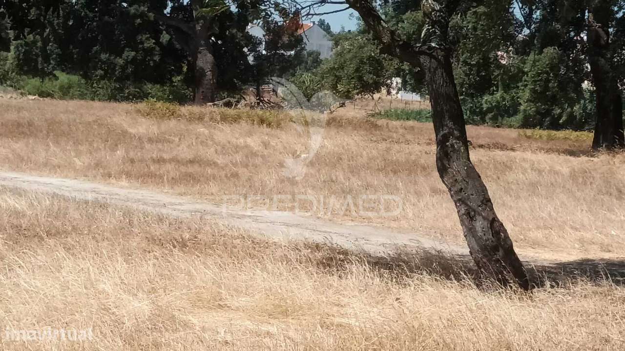Venda Terreno Barreiro - Baixa da Banheira - Grande imagem: 5/24