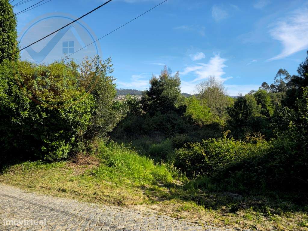 Terreno com 1ha, em Boelhe, Penafiel - Grande imagem: 2/11