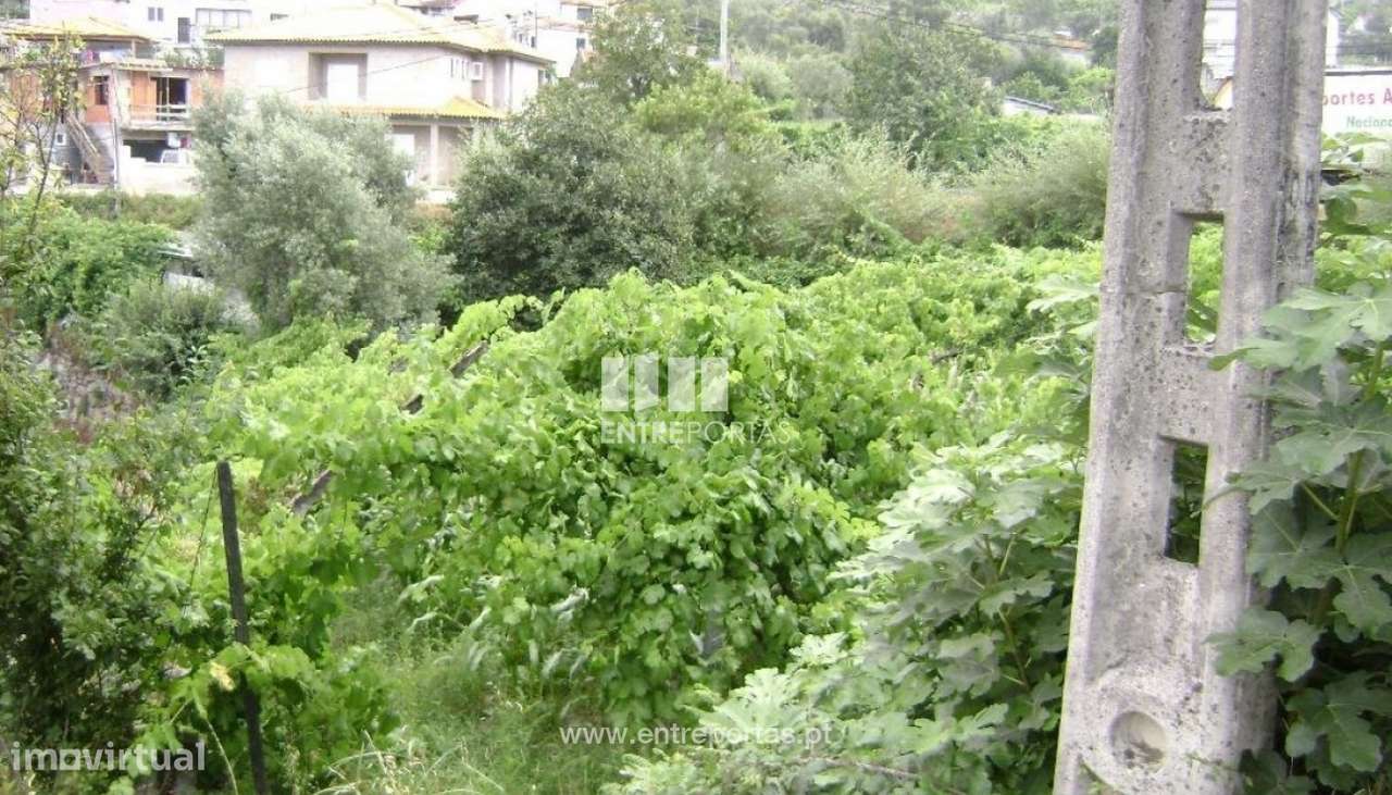 Venda Terreno, Ancede, Baião - Grande imagem: 4/7