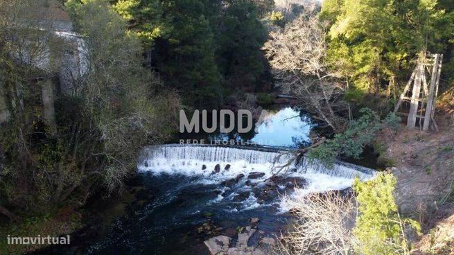 Quinta com 2 hectares para recuperar junto ao Rio Caima-9