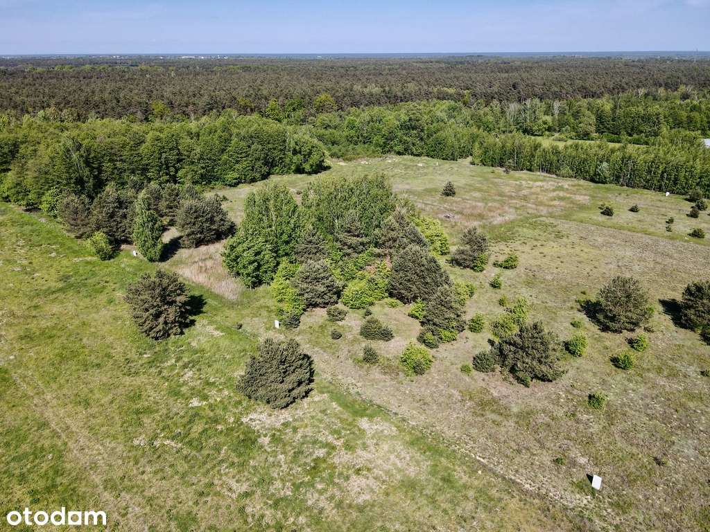 Przepiękna działka przy lesie - natura i spokój! - Pełny obrazek: 4/20