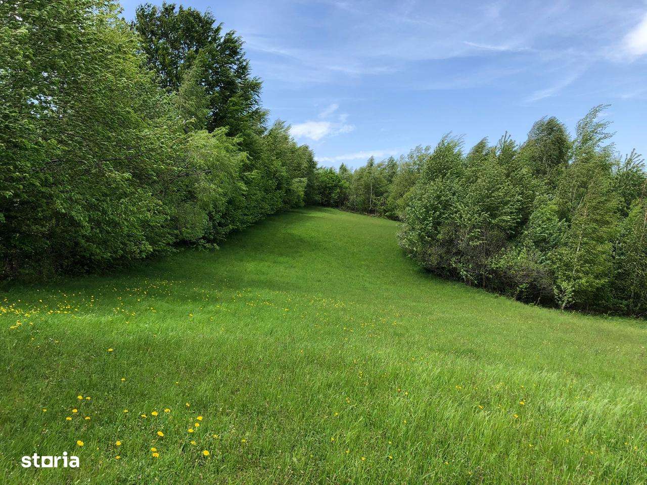 teren frumos, poziție excelentă, priveliște uimitoare - Imagine principală: 5/12