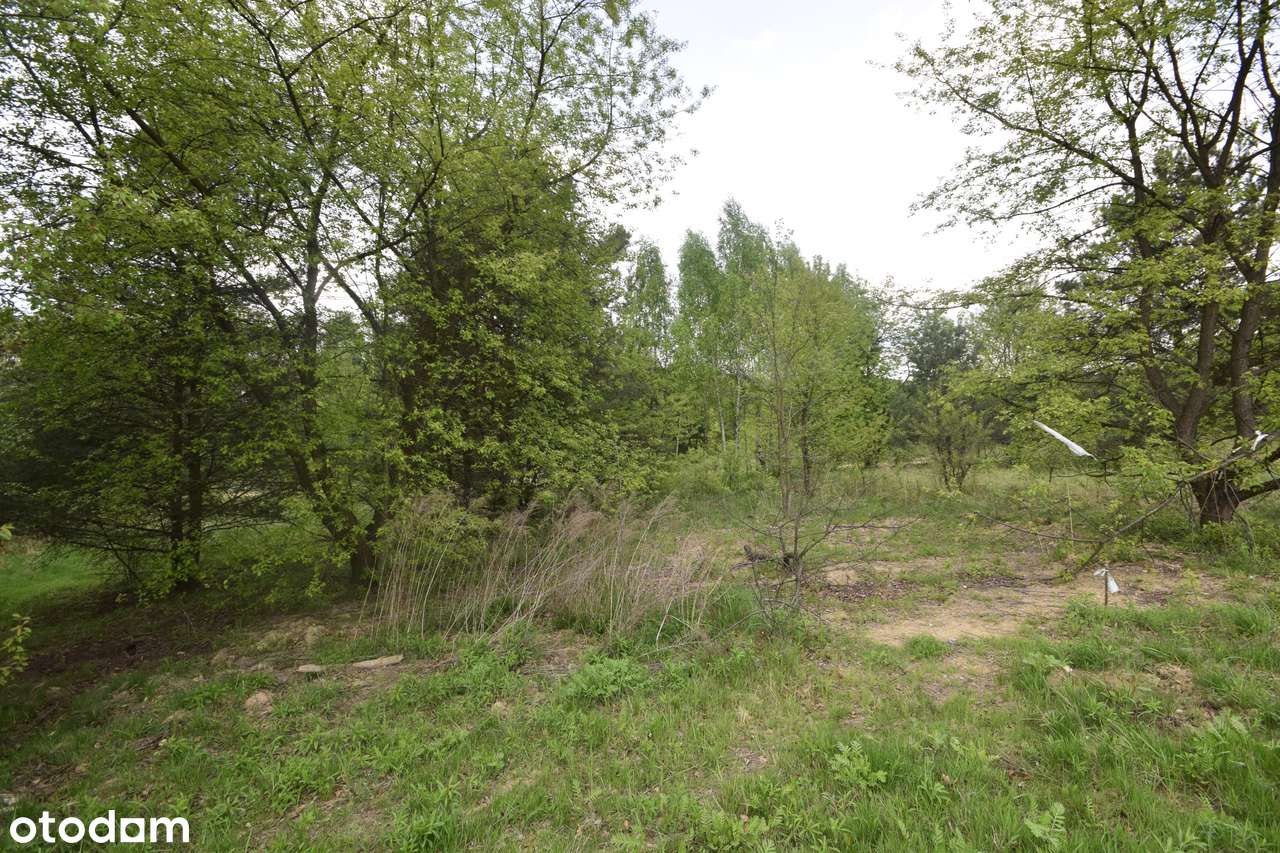 Działka budowlana  przy ul. Dubiela – świetna inwestycja - Pełny obrazek: 4/4