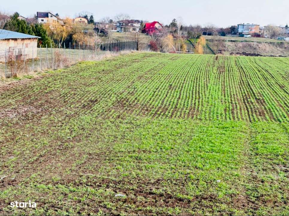 TEREN INTRAVILAN | BALOTESTI | DESCHIDERE 40 M LA LAC | 9.919 MP | LAH - Imagine principală: 1/6