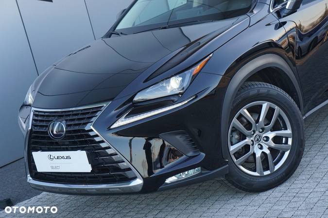 Lexus NX - 4