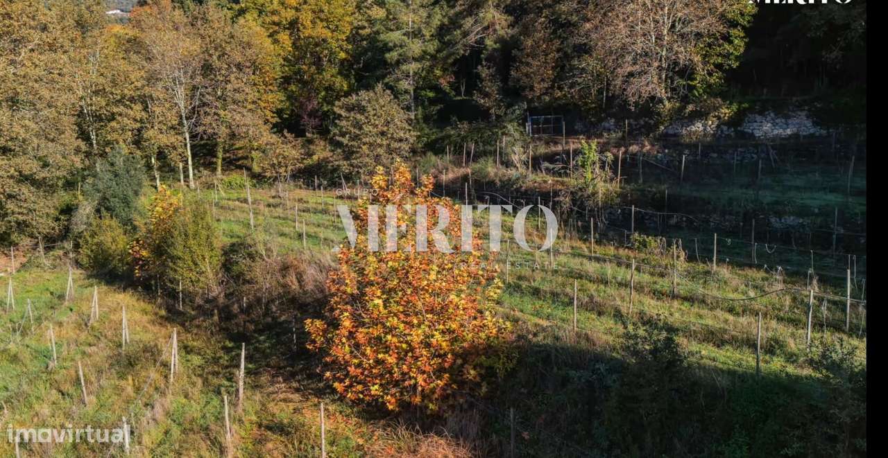 Venda Terreno - Grande imagem: 2/5