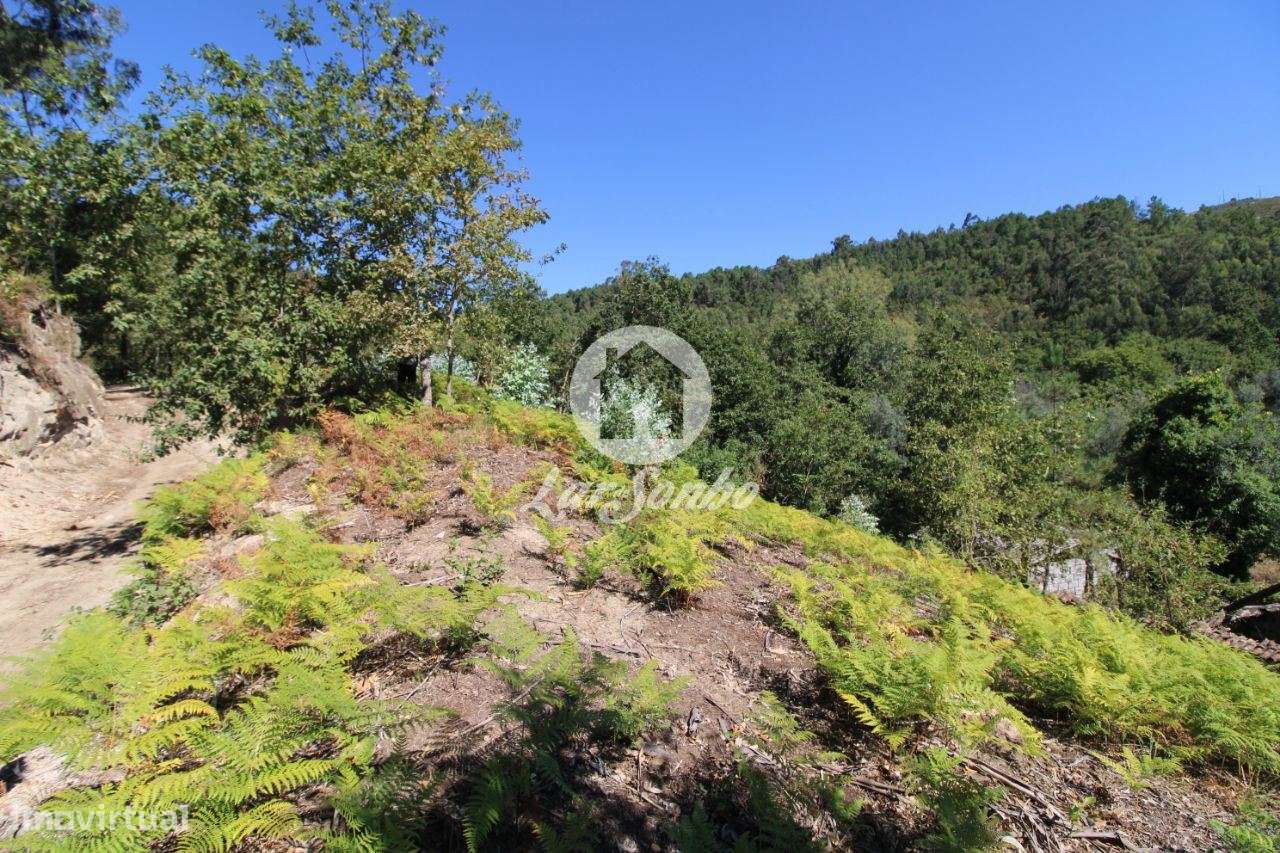 Quintinha com 32.270 m2 em Amares, Braga - Grande imagem: 4/21