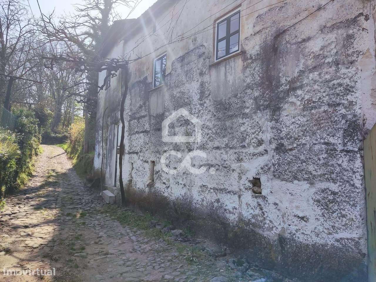 Quinta, Termas de São Vicente, Penafiel-8