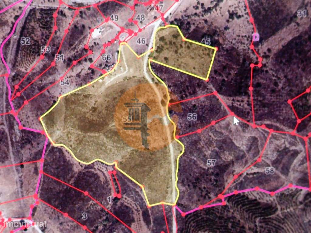 TERRENO COM 85.380 M2 - COM RUINAS - POÇO COM ÁGUA - POSSIBILIDADE ... - Grande imagem: 4/49