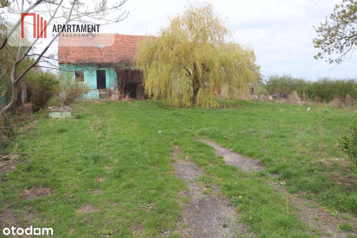 Duża działka 1,15 ha z zabudowaniami - Pełny obrazek: 4/7