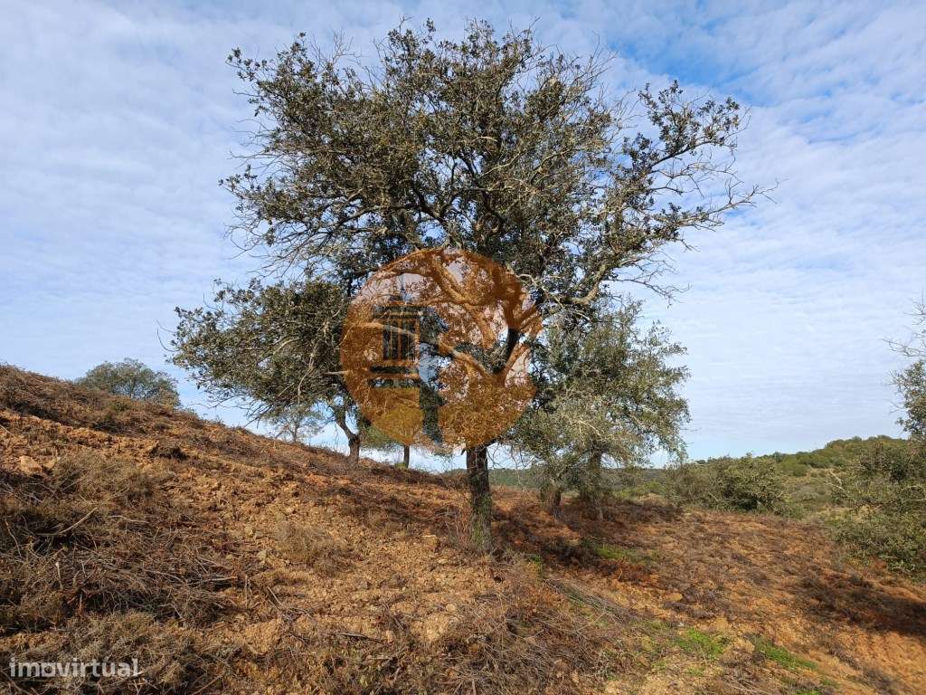 TERRENO RUSTICO COM 11.000 M2 - BONS ACESSOS - ALCARIAS GRANDES - C... - Grande imagem: 2/56