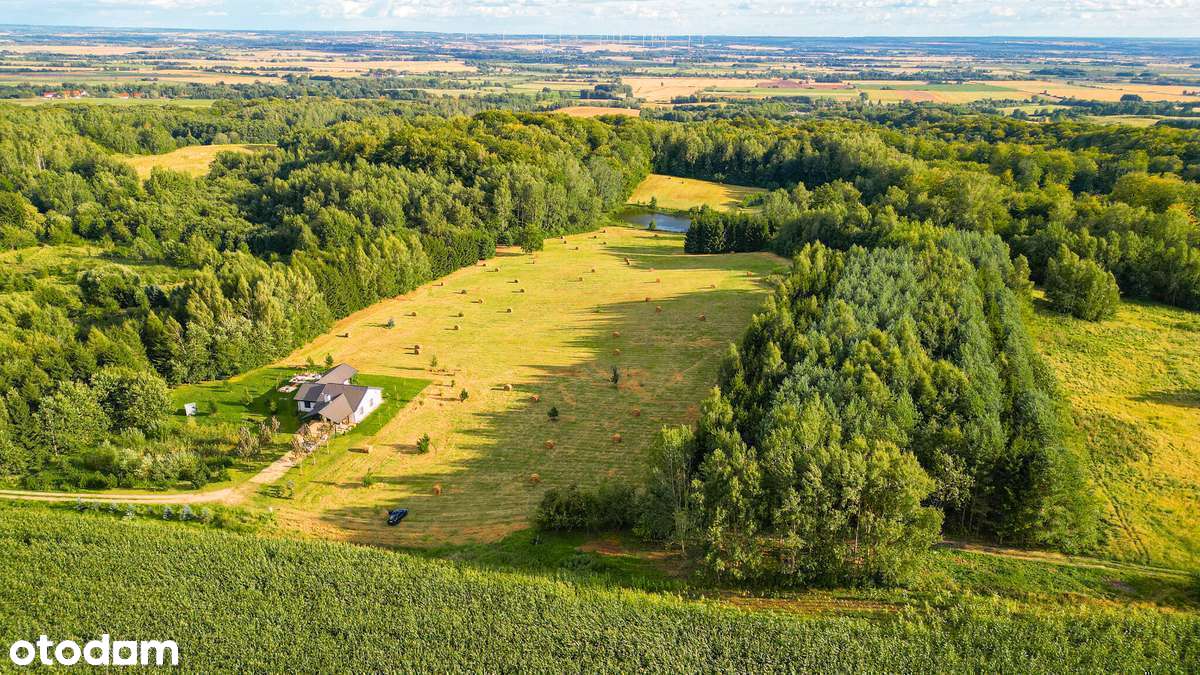 Działki budowlane Rogowo blisko Elbląga. - Pełny obrazek: 3/17