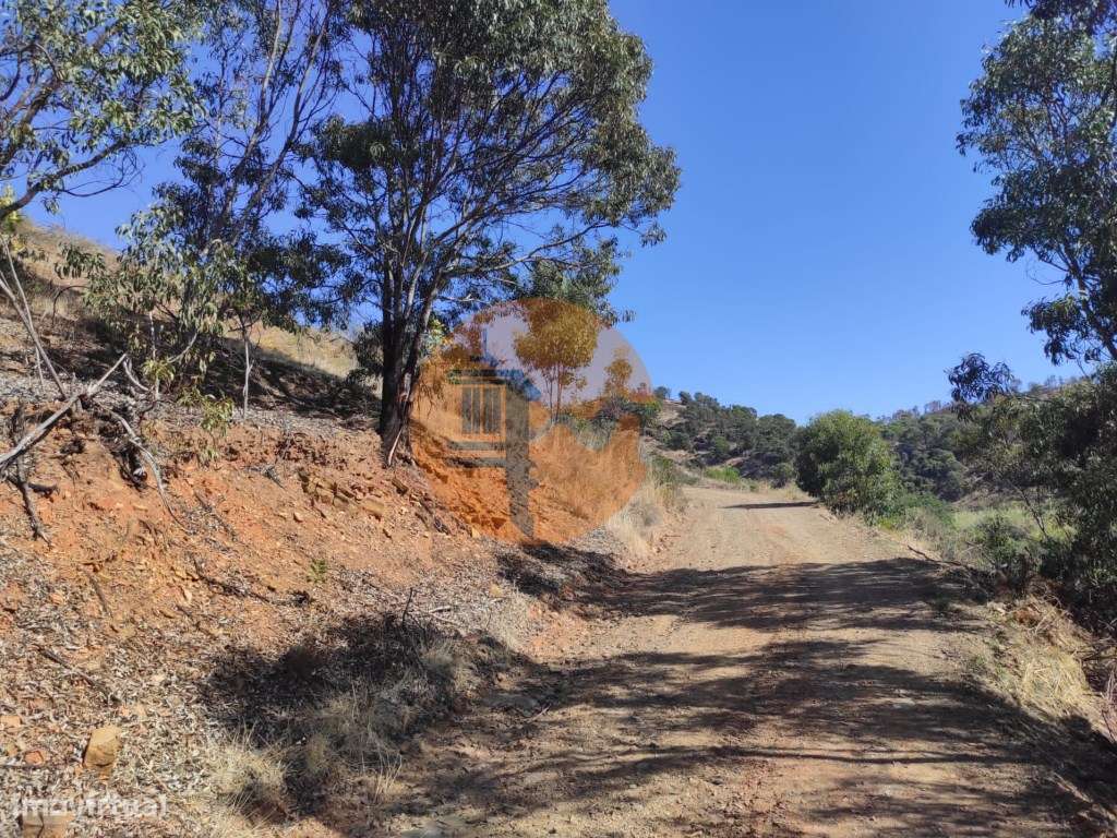 TERRENO RÚSTICO COM 5.550 M2 - COM ÁGUA - CONCEIÇÃO - TAVIRA - ALGARVE - Grande imagem: 3/30