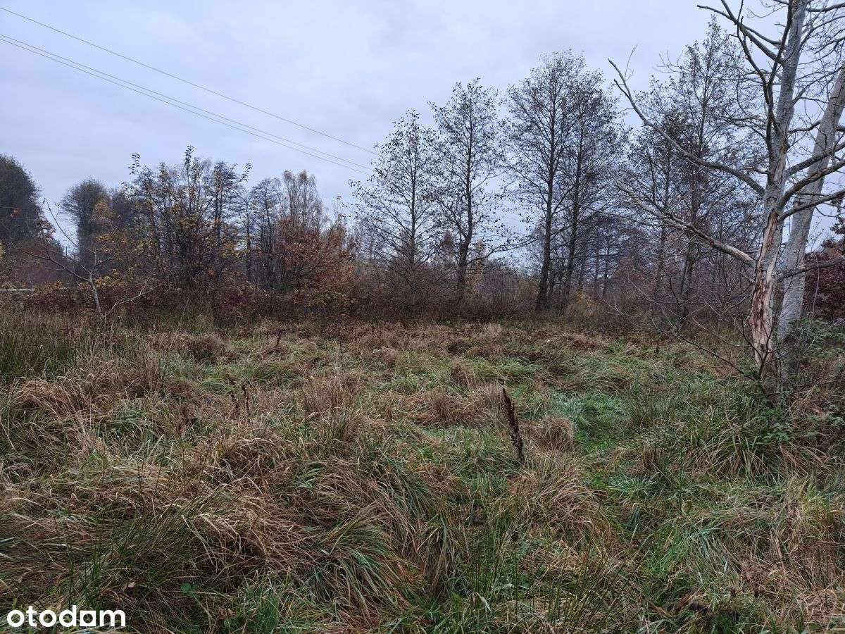 Słoneczna działka budowlana w Sasinie Jarzębinowa-3