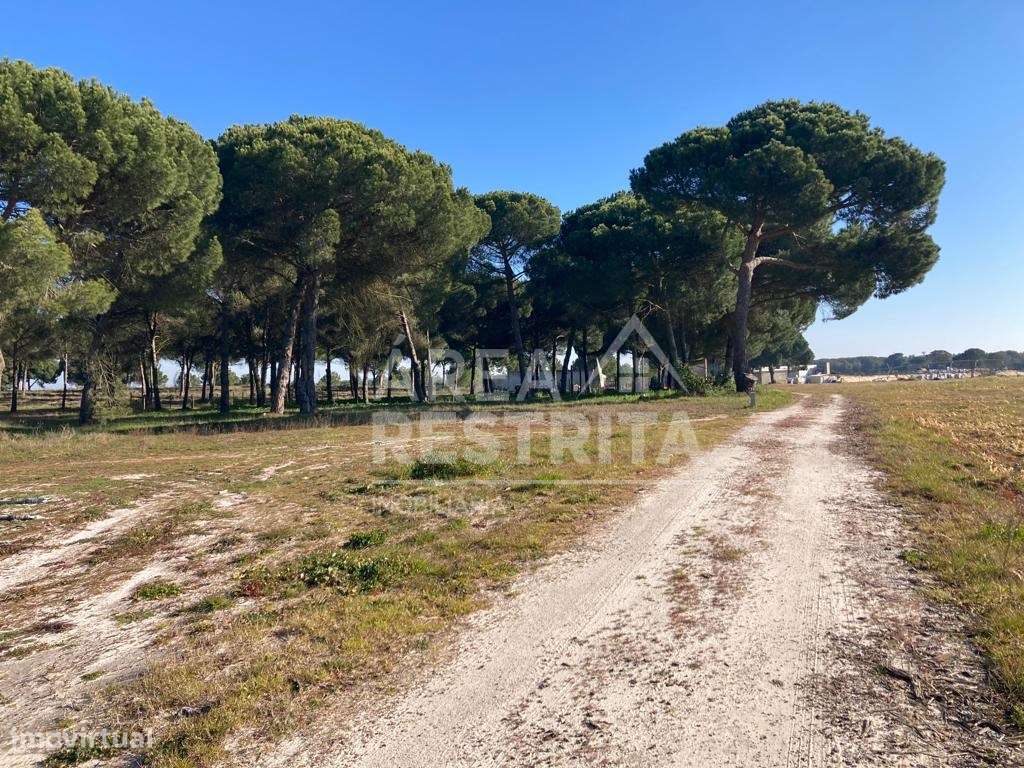Terreno em Pegões- 14250 m2 - Área de construção até 500 m2 - Grande imagem: 5/32