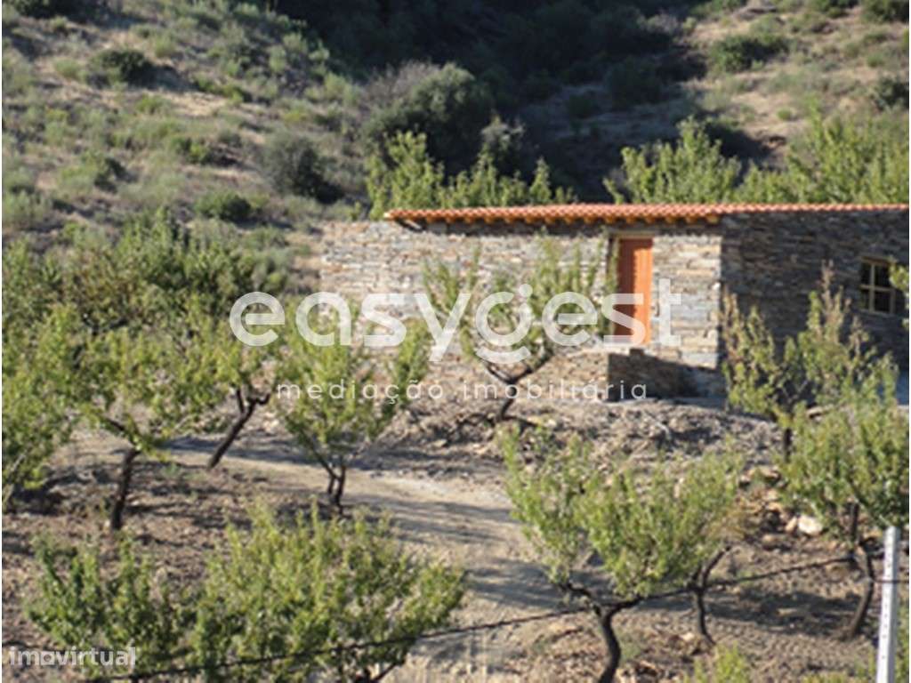 Fantástico terreno agrícola com margem de Rio. - Grande imagem: 4/11