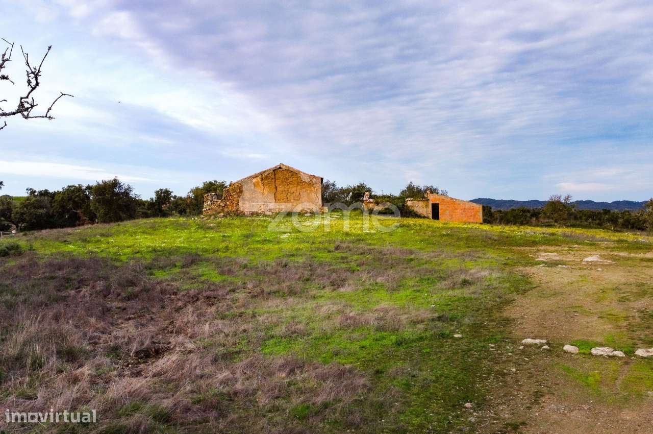 Terreno Misto 21HA - Grande imagem: 4/18