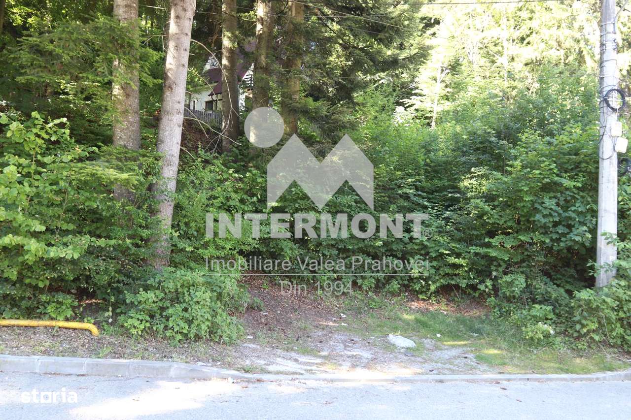 Teren de vânzare în Sinaia, aproape de centru. - Imagine principală: 4/6