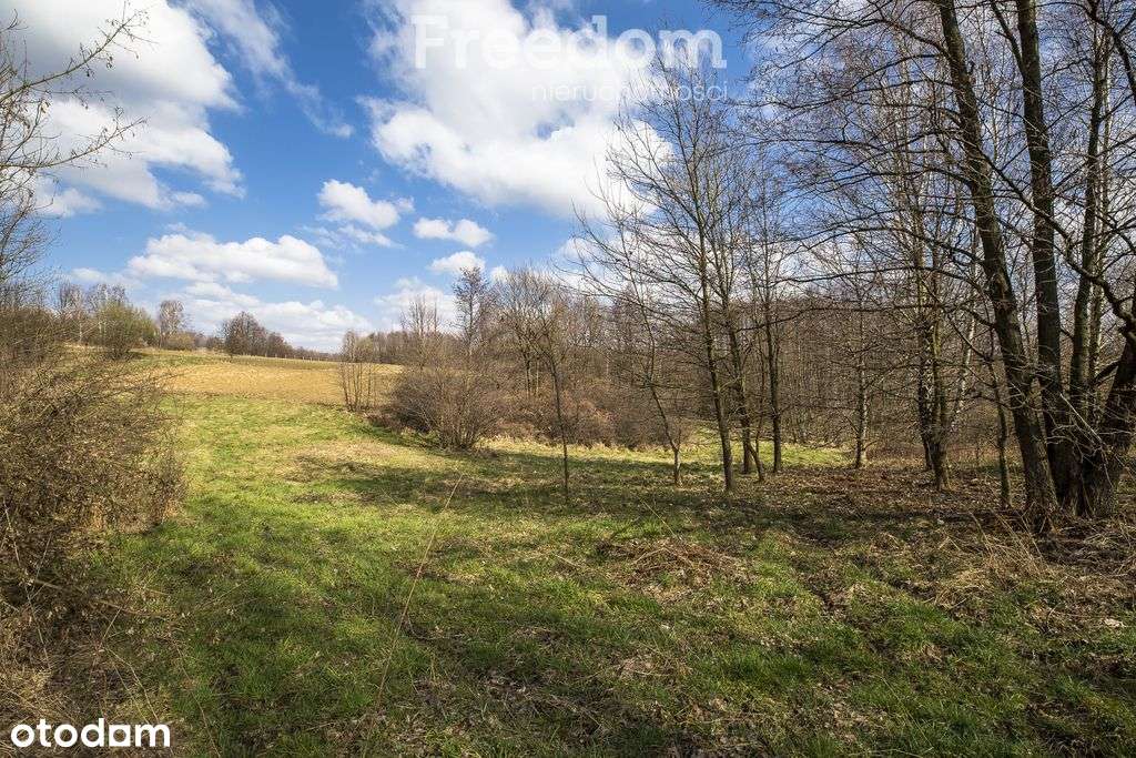 Działka budowlana 27 ar Lubenia - Pełny obrazek: 3/11