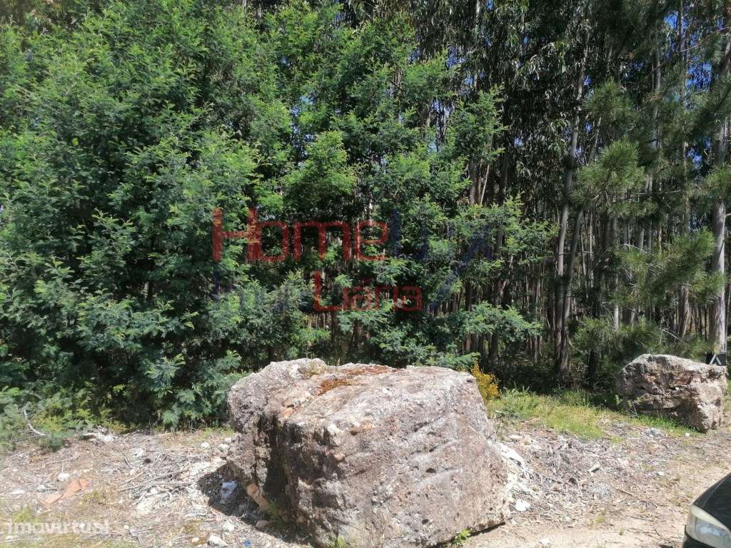 Terreno - Águeda - Grande imagem: 3/3