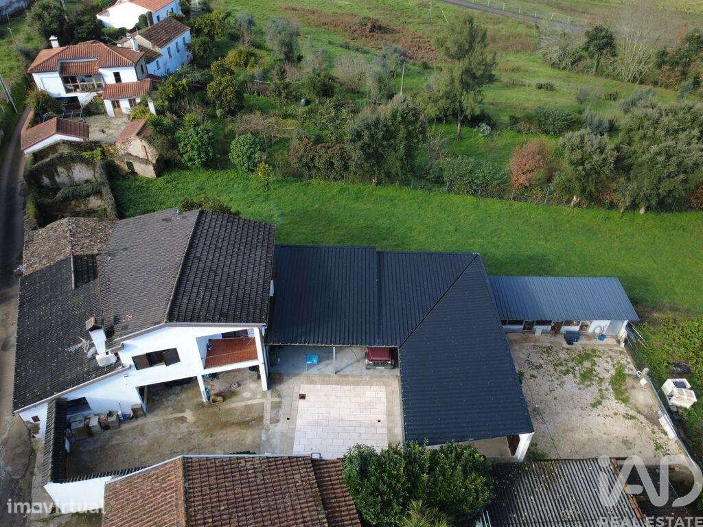 Casa de Campo T4 em Poiares de 187 m2 - Grande imagem: 5/40
