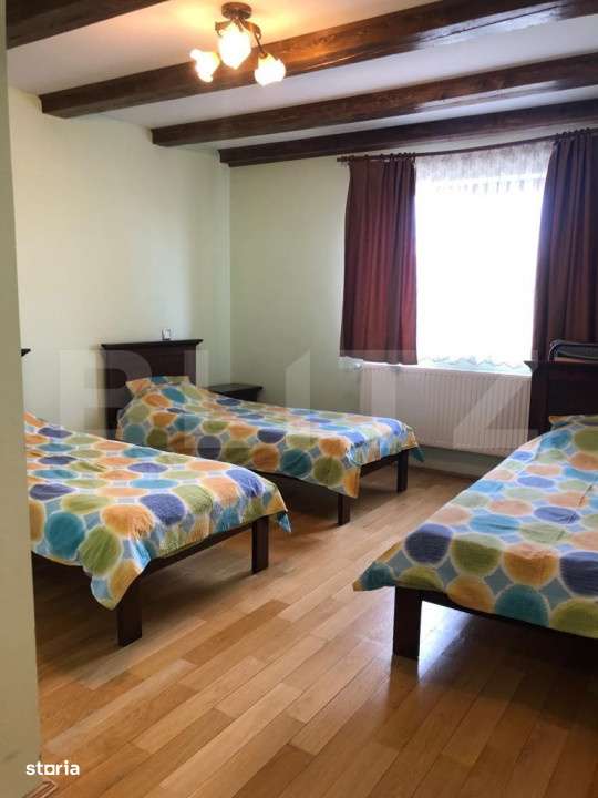 Pensiune de vanzare, 360 mp utili, 7500 teren, Zona Turistica, Risca - Imagine principală: 5/18