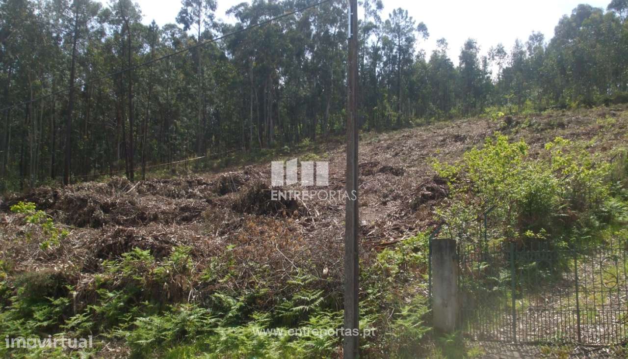 Terreno para venda, Reboreda, Vila Nova de Cerveira - Grande imagem: 5/7