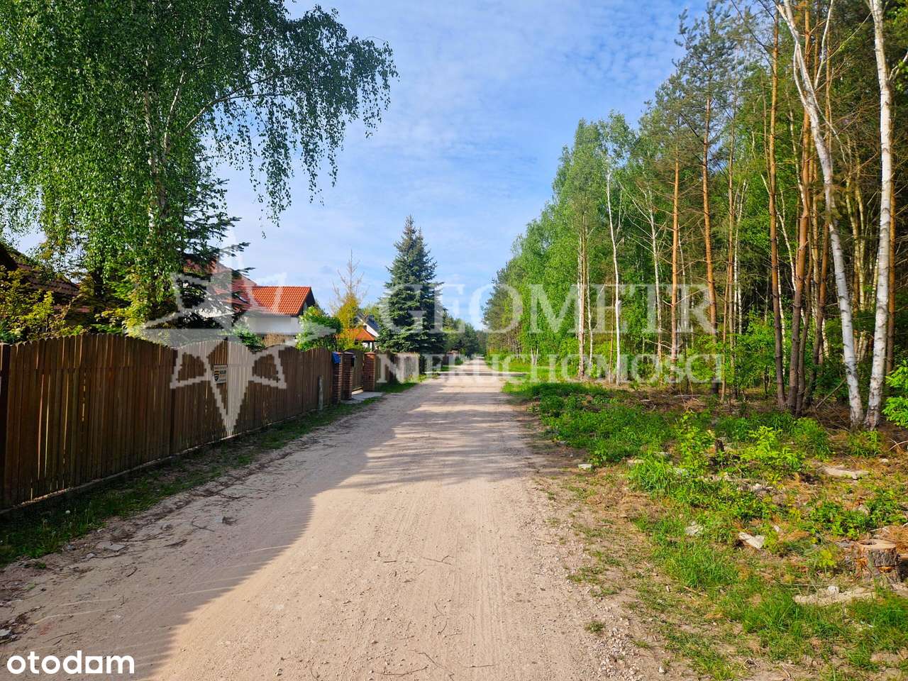 zaciszna z sosnami - ul. Paproci - Pełny obrazek: 5/6