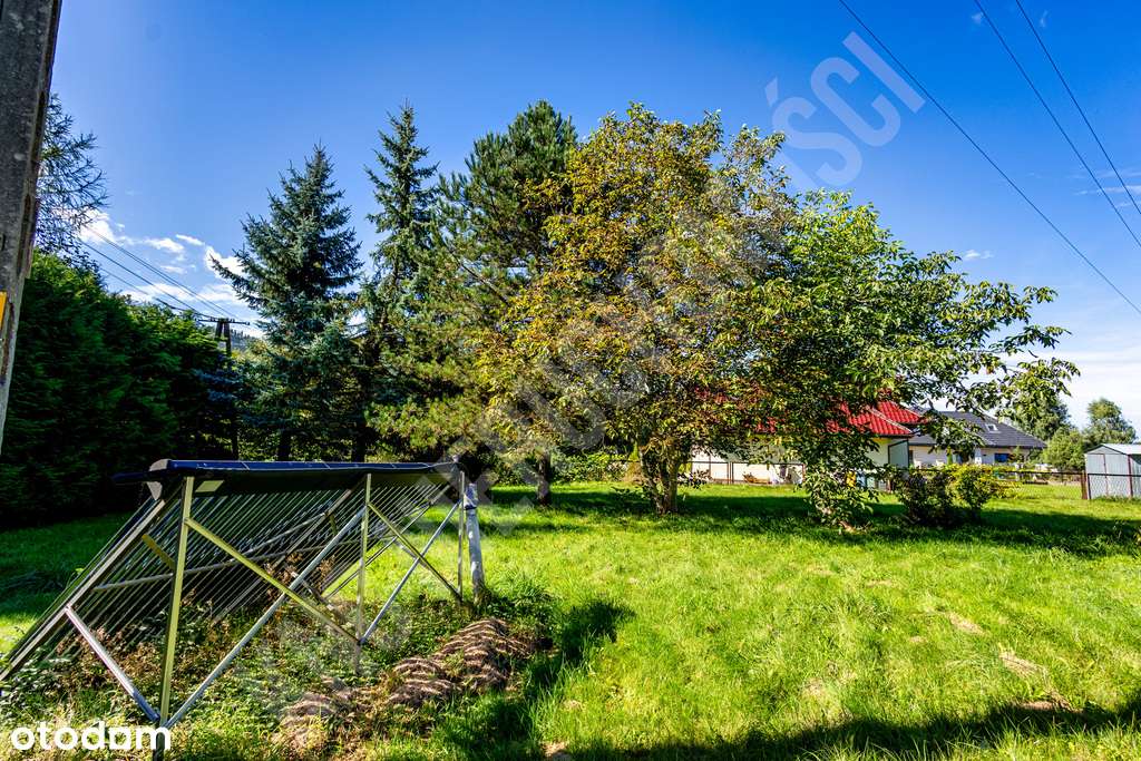 Dom z potencjałem na pięknej działce - Pełny obrazek: 5/20