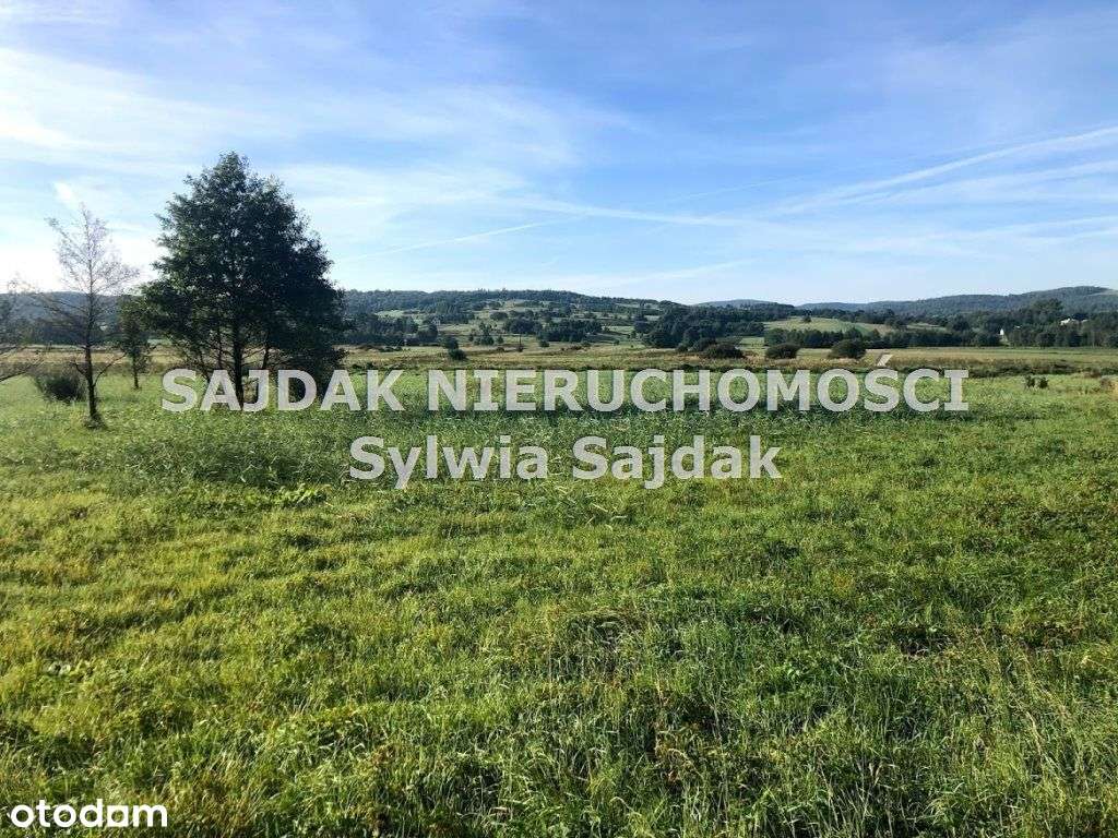 Widokowa działka 1700 m2 - Pełny obrazek: 5/7