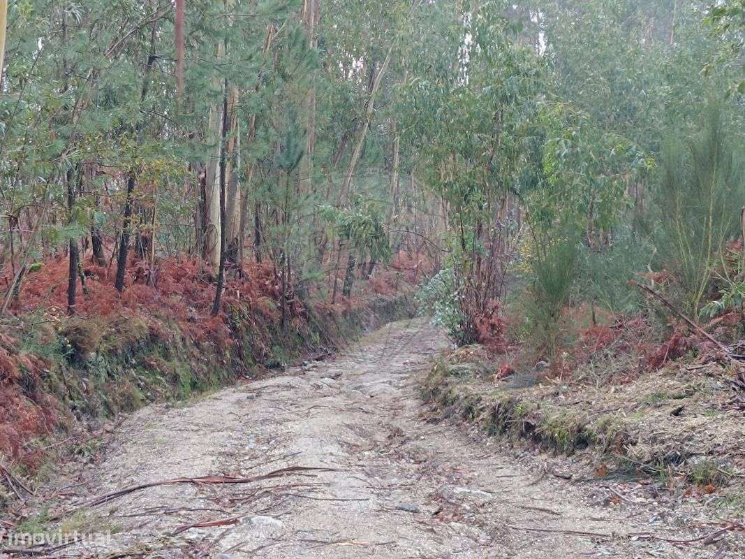 Terreno  para venda - Grande imagem: 5/13