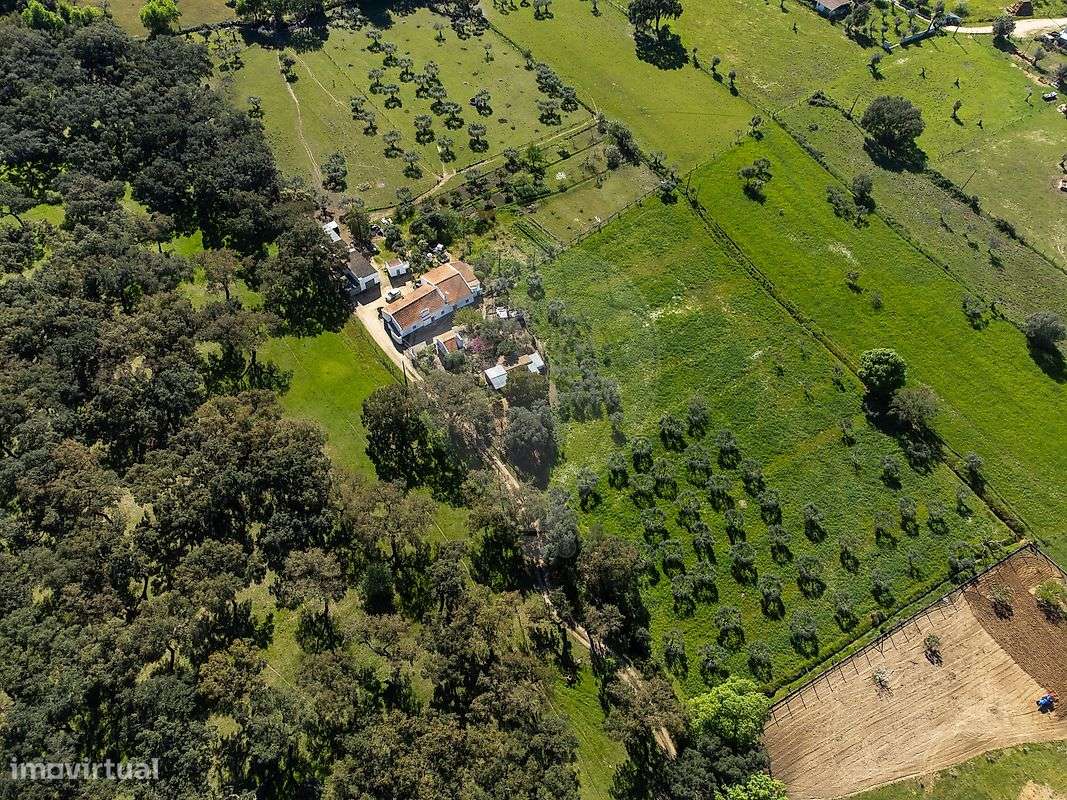 Quinta T6 para venda-7