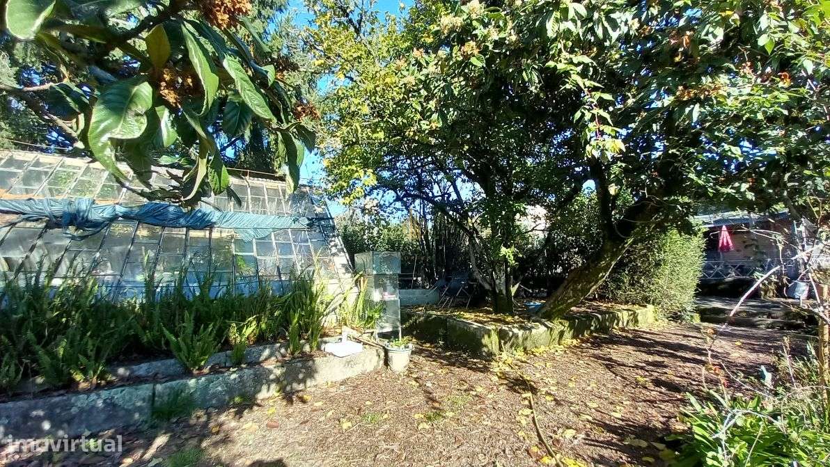 Herdade T5 Venda em Santos Evos,Viseu - Grande imagem: 5/19