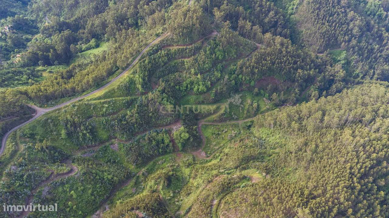 Terreno de 120.000m² com Potencial Agrícola - Campanário - Grande imagem: 5/11